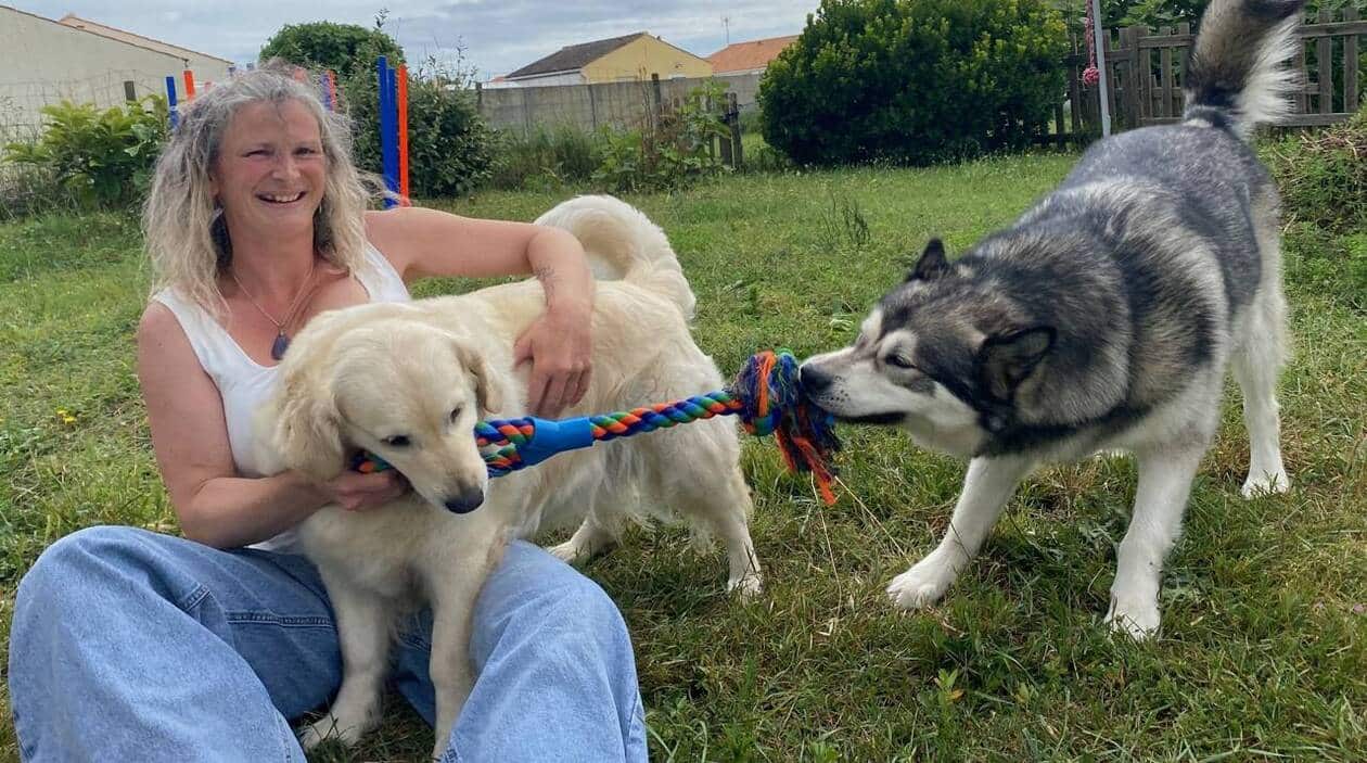 Gâteau pour chien et humain : une recette gourmande à partager